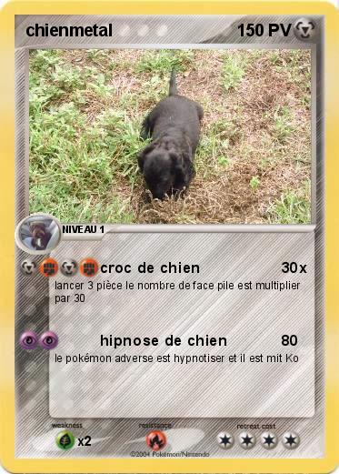 Pokemon chienmetal