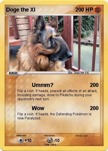 Pokemon Doge the XI