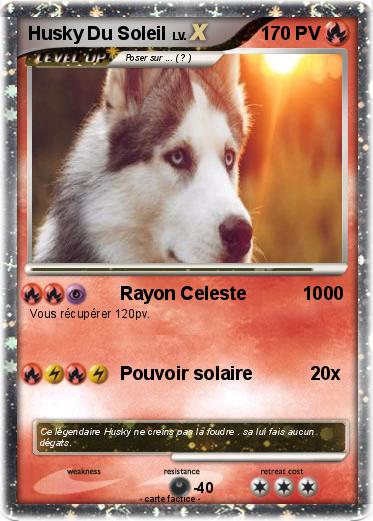 Pokemon Husky Du Soleil