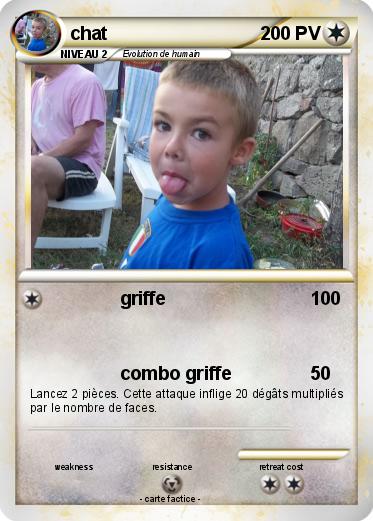 Pokemon chat