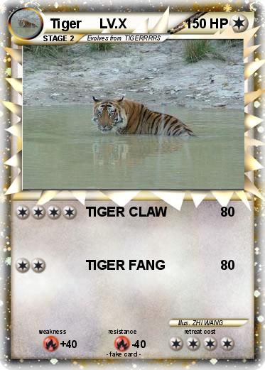 Pokemon Tiger     LV.X