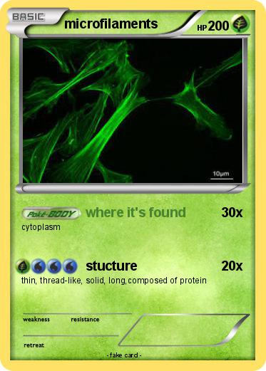 Pokemon microfilaments