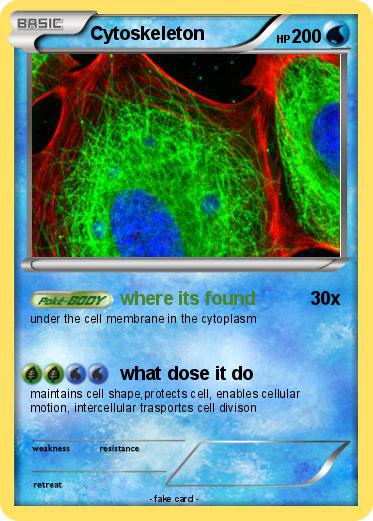 Pokemon Cytoskeleton