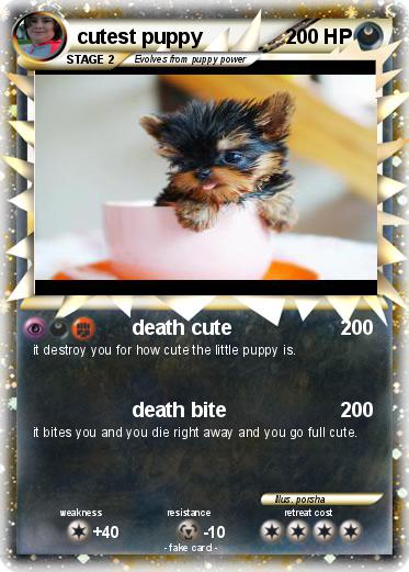 Pokemon cutest puppy