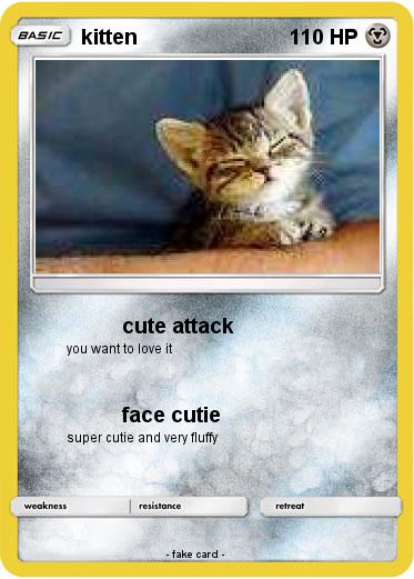 Pokemon kitten