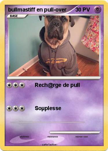 Pokemon bullmastiff en pull-over