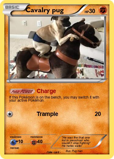 Pokemon Cavalry pug