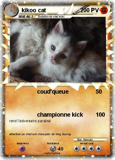 Pokemon kikoo cat
