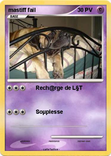 Pokemon mastiff fail
