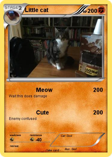 Pokemon Little cat