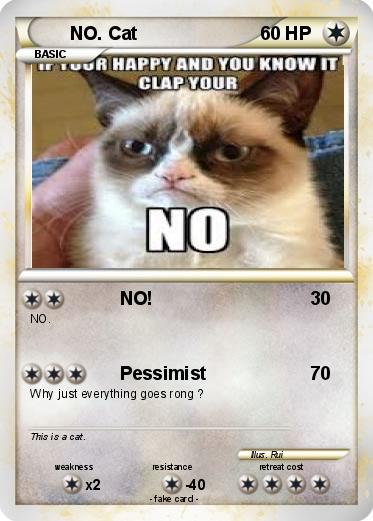 Pokemon NO. Cat