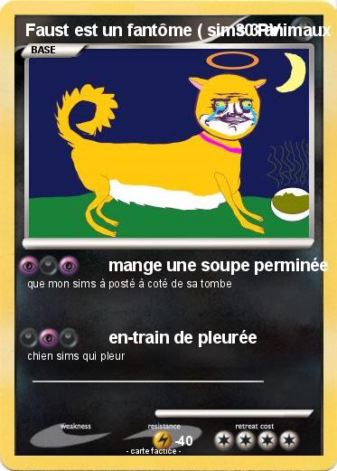 Pokemon Faust est un fantôme ( sims 3 animaux & cie 3DS )