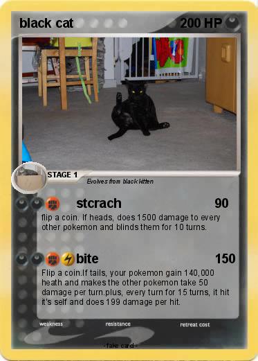 Pokemon black cat