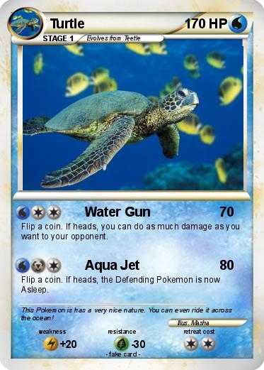 Pokemon Turtle