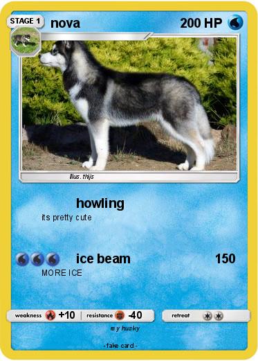 Pokemon nova