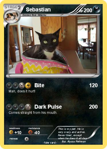 Pokemon Sebastian