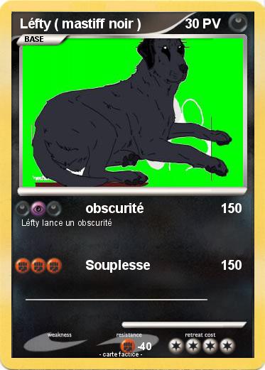 Pokemon Léfty ( mastiff noir )