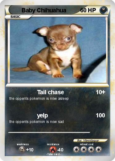 Pokemon Baby Chihuahua
