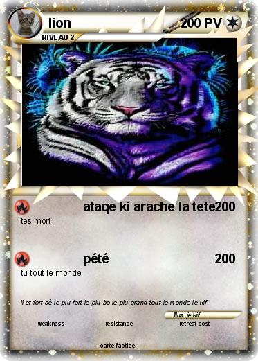 Pokemon lion