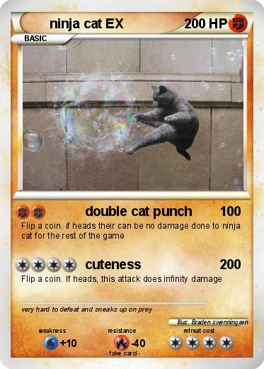 Pokemon ninja cat EX