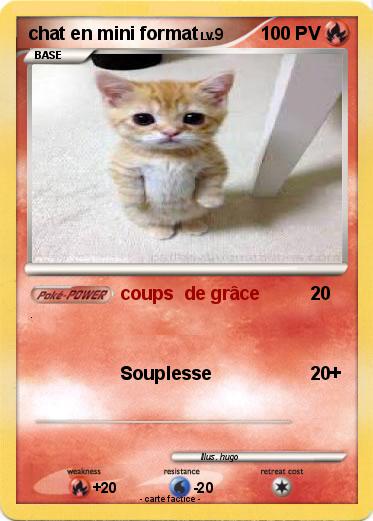 Pokemon chat en mini format