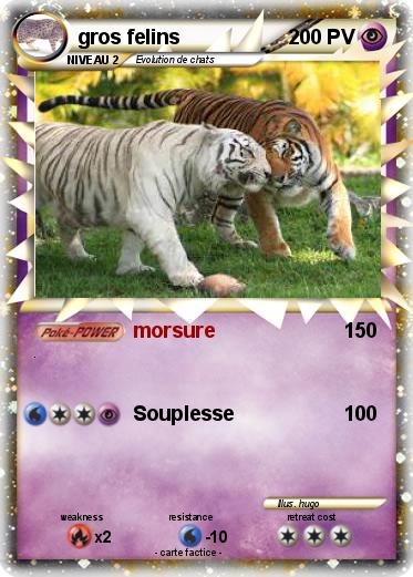 Pokemon gros felins