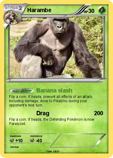 Pokemon Harambe