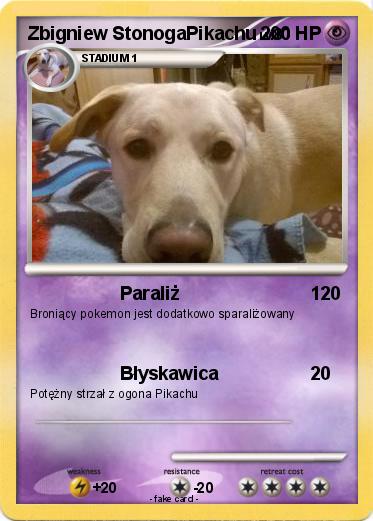 Pokemon Zbigniew StonogaPikachu
