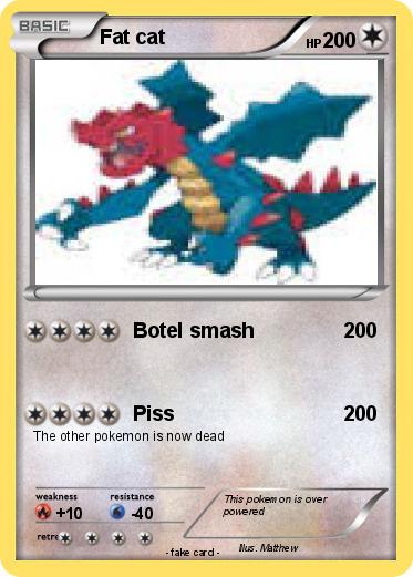 Pokemon Fat cat