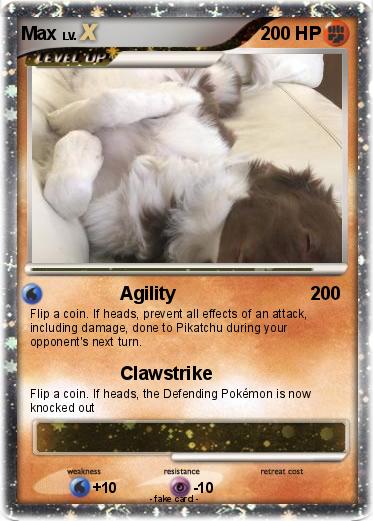 Pokemon Max