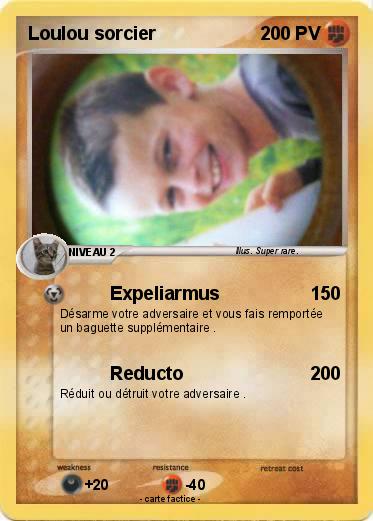 Pokemon Loulou sorcier