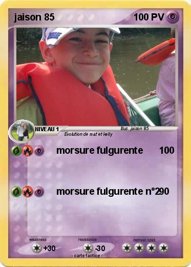 Pokemon jaison 85