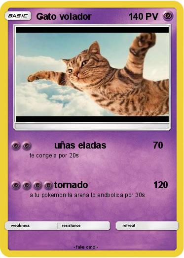 Pokemon Gato volador