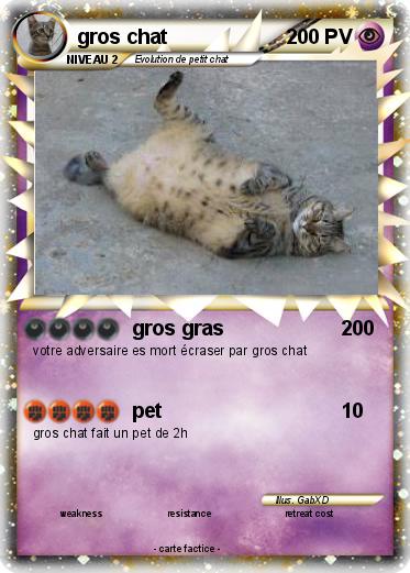 Pokemon gros chat