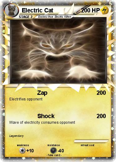 Pokemon Electric Cat