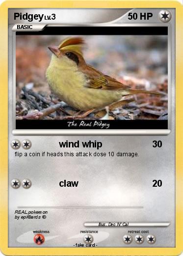Pokemon Pidgey