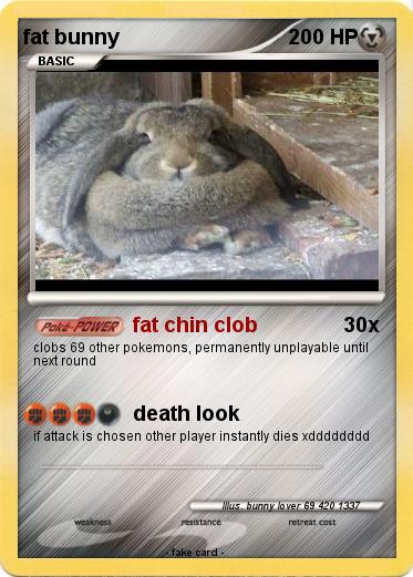 Pokemon fat bunny