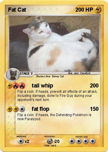 Pokemon Fat Cat
