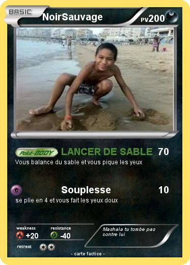 Pokemon NoirSauvage