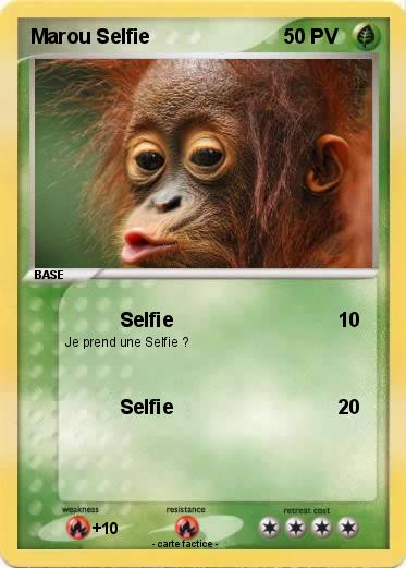 Pokemon Marou Selfie