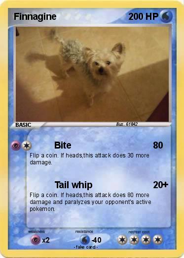 Pokemon Finnagine