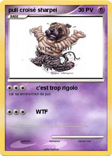 Pokemon puli croisé sharpei