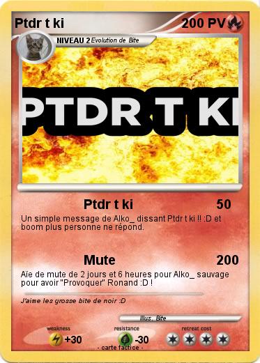 Pokemon Ptdr t ki
