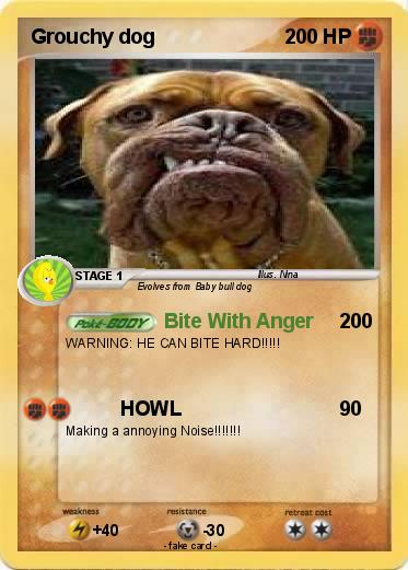 Pokemon Grouchy dog