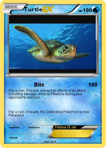 Pokemon Turtle