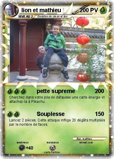 Pokemon lion et mathieu