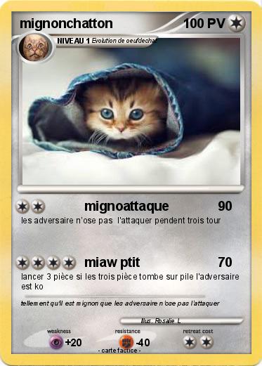 Pokemon mignonchatton