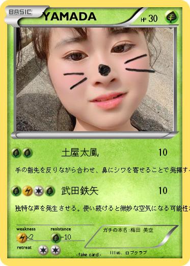 Pokemon YAMADA