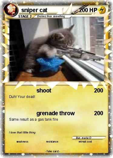 Pokemon sniper cat