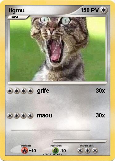 Pokemon tigrou